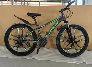 Adult Bicycle Size 26