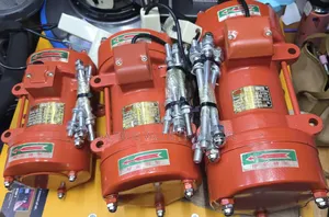 Vibrator  Motor 3hp Renyuwang