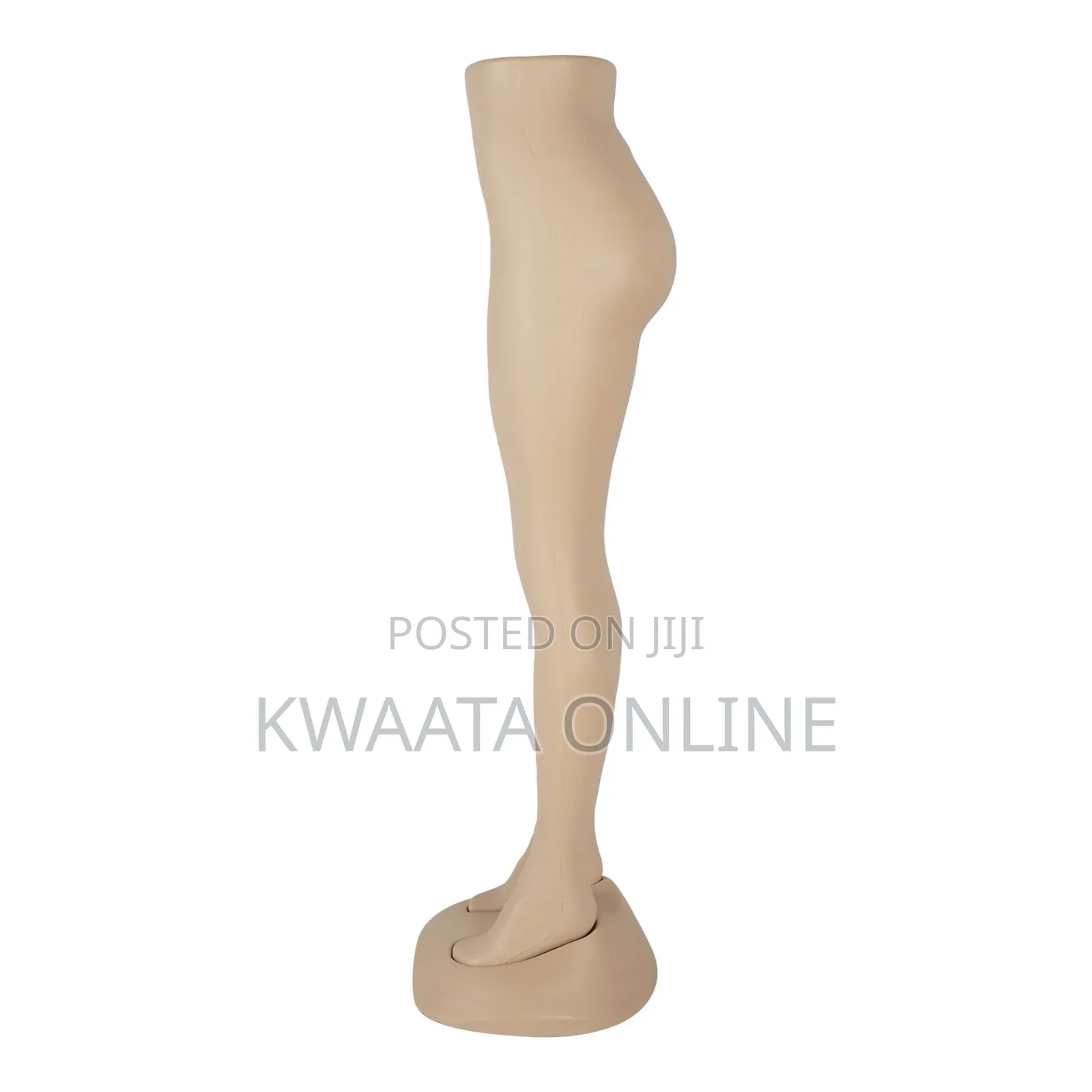 Smart Plastic Ladies Lower Body Mannequin, Dummy Display
