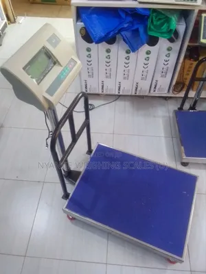 Platform Weighing Scale 350kg A.12 Weigh Industrial Weighing Scales