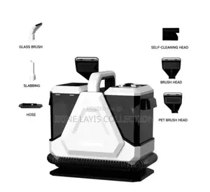 Portable Carpet Cleaner