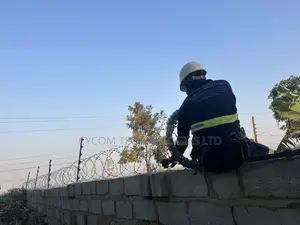 Electric Fence With Lazor Wire