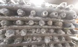 Chicken Mesh