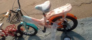 Heavy Strong Bike