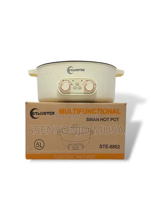 Multifunctional Electric Hot Pot With Divider - 3l, 1500w