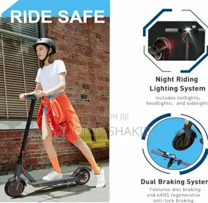 Affordable Adult Electric Rechargeable Smart Scooter