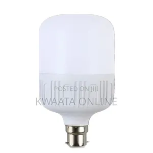Dp Light 25w Rechargeable/Emergency Bulb With Pin Connection