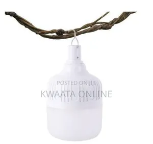 Dp Light 25w Rechargeable/Emergency Bulb With Pin Connection