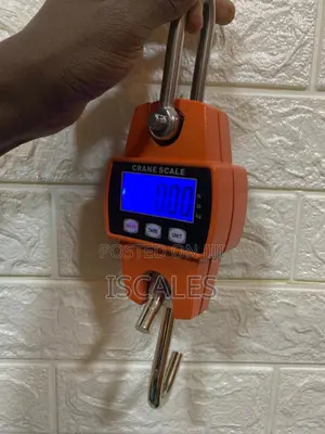 Electronic Weigh 5g Shop Weighing Scale 300kg Digital Weighing Scale