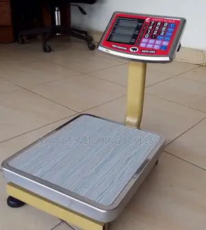 60kg/0.5g Weighing Scale Digital Weigh Mini Platform Weighing Scales