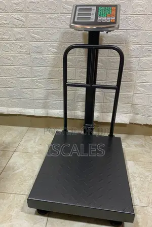 Electronic Weigh 100g Shop Weighing Scale 350kg Digital Weighing Scale