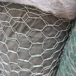 Kuku Net,Chicknet
