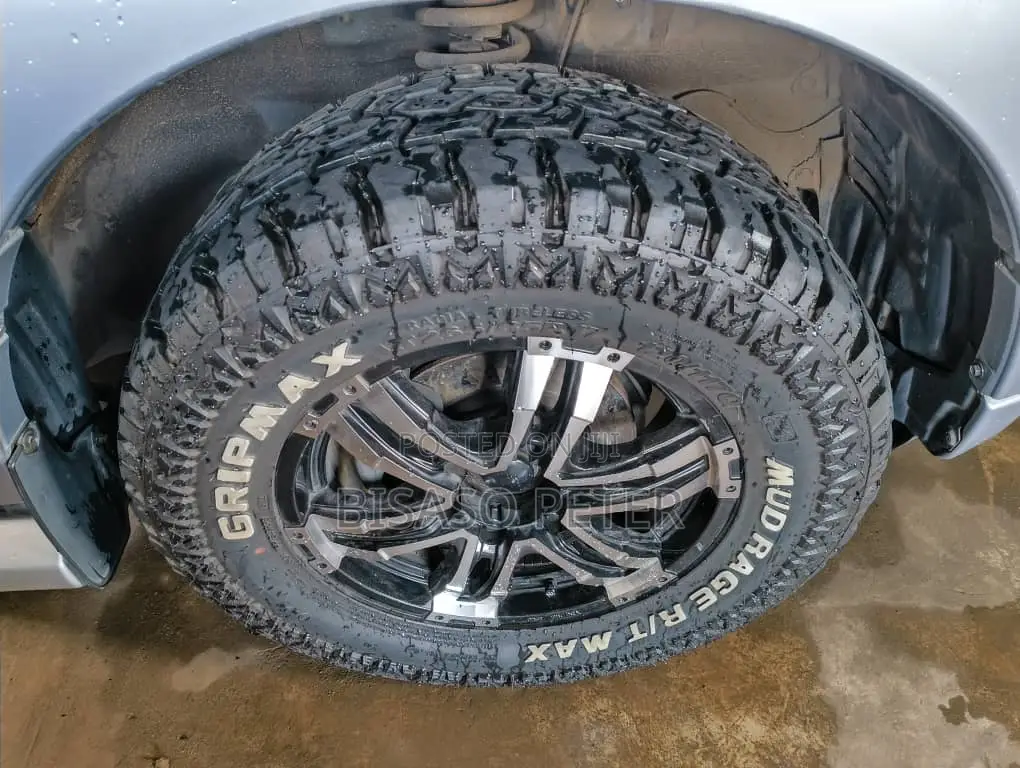 Mitsubishi Pajero 2010 Gray