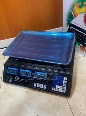 Weigh Scale Precision Weighing 40kg Accurate Weighing Scale