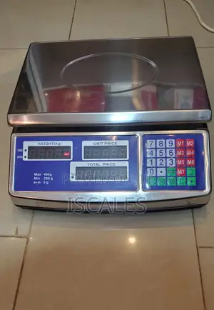 Retail Digital Weigh Food Weighing Scale 40kg Shop Weighing Scale