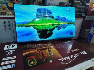 Black Ark 43 Smart Digital Flat Screen Flameless