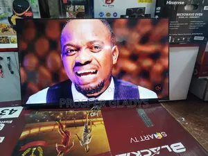 Black Ark 43 Smart Digital Flat Screen Flameless