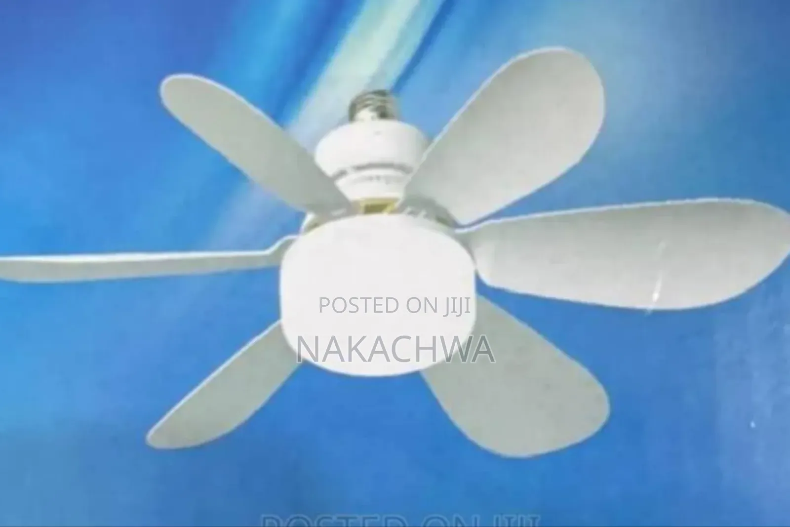 Celling Light Fan With a Bulb
