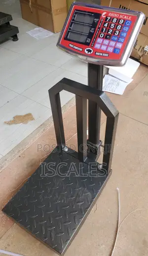 Digital Weighing Scale 100kg Warehouse Weigh Digital Weighing Scale