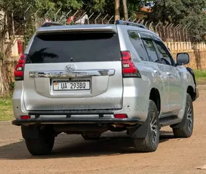 Denis Car Guards and Bumpers