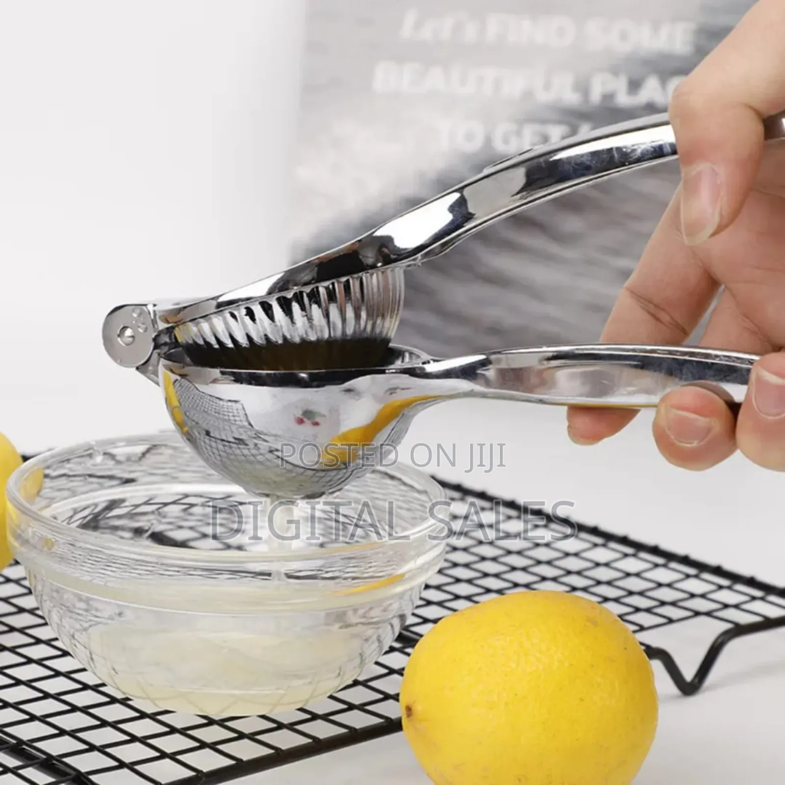 Stainless Steel Juice Press