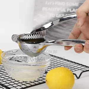 Stainless Steel Juice Press