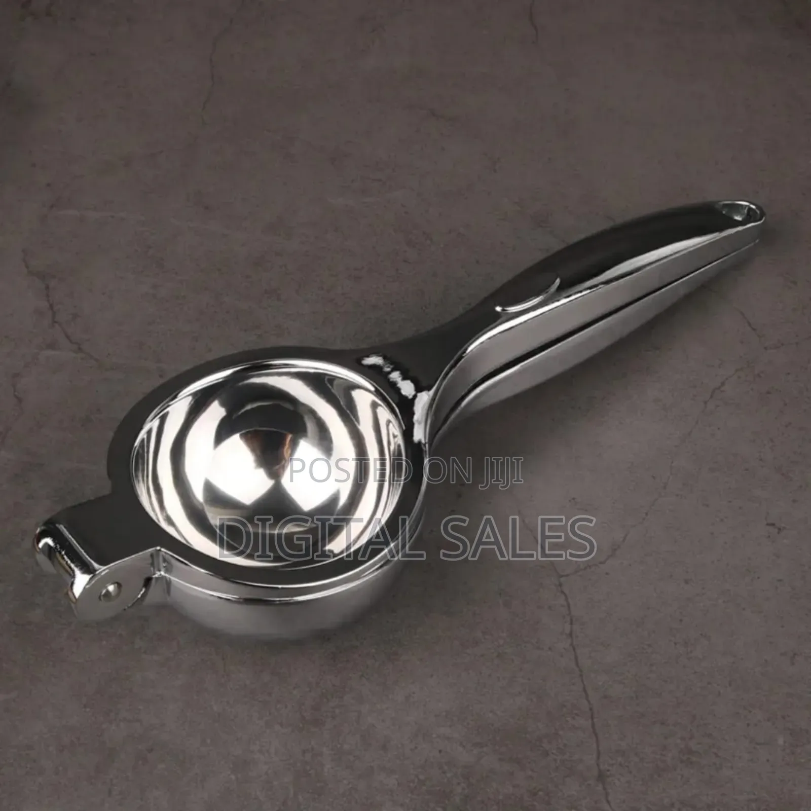 Stainless Steel Juice Press