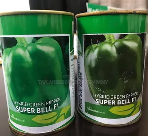 Superbell F1 Hybrid Green Pepper (Capsicum) 500g