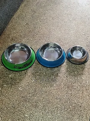 Cats and Dog Feeding Troughs/ Plates