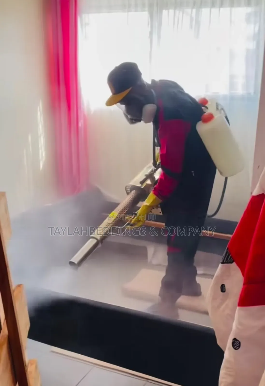 Bedbugs, Mosquito, Cockroaches Fumigation Services