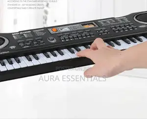 Baby Private Musical Piano Toy