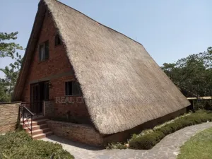 Grass Thatched Houses