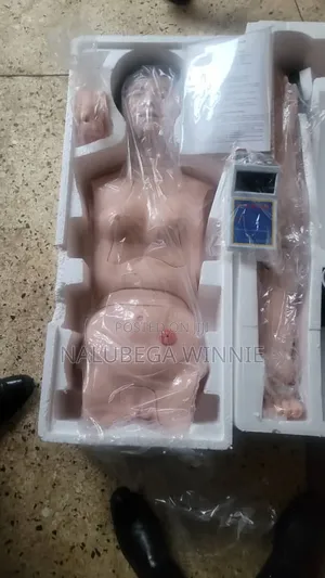 Cauterization Female Model