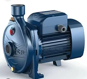 Pedrollo Surface Pump