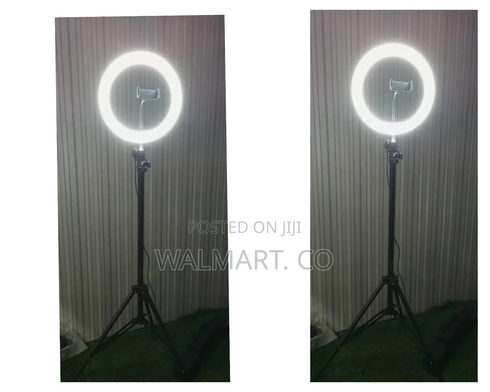 10 Inch Ring Light With Tripod Stand