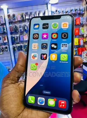 Apple iPhone 11 Pro Max 512 GB Gray
