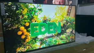43 Lg Led Digital Tv