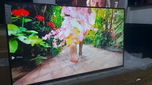 43 Lg Led Digital Tv
