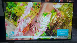 Tv Lg Led Flat Screen 43