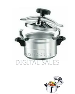 Regina 4l Stainless Steel Pressure Cooker Saucepan Pot- Silver