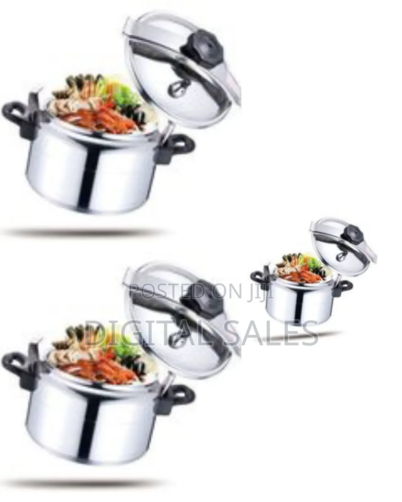 Regina 20l Stainless Steel Pressure Cooker Saucepan Pot- Silver