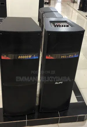 Ailipu 9043 Amplified Speakers 2