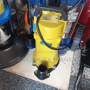 Sewage Pumps/Dirty Pumps