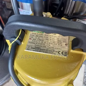 Sewage Pumps/Dirty Pumps