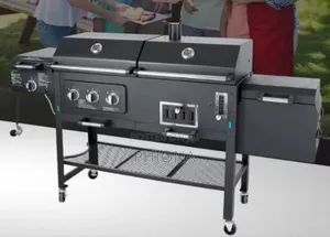 Charcoal And Gas Combination Grill Machine