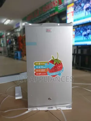 Pixel Fridge 120l With Light Inside.