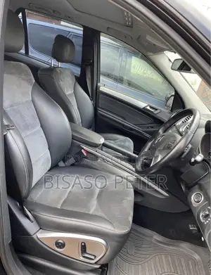 Mercedes-Benz M Class ML350 4x2 2009 Black