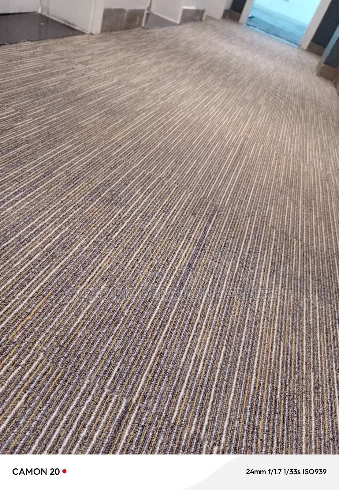 Fany Office PVC Tiles Carpets
