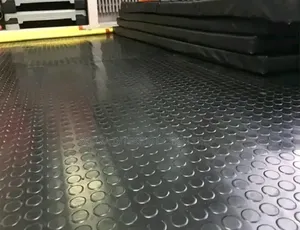 PVC Floor Water Free Carpet