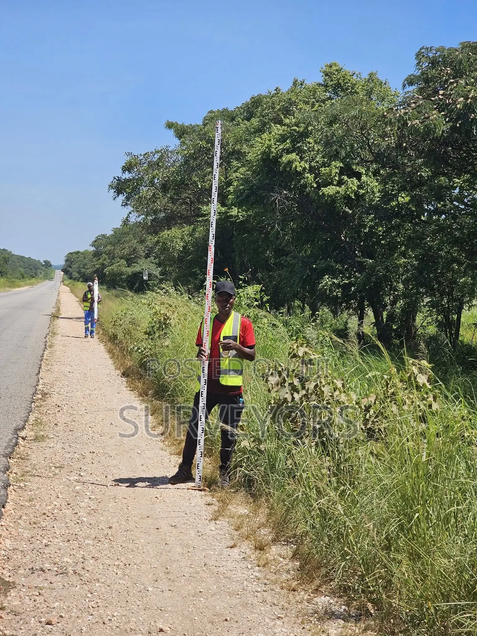 Traffic Engineering Studies and Surveys